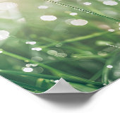 朝露レディバグ：自然の小さな放浪者 ポスター (角)