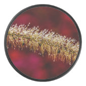 朝露 アイスホッケーパック (正面)