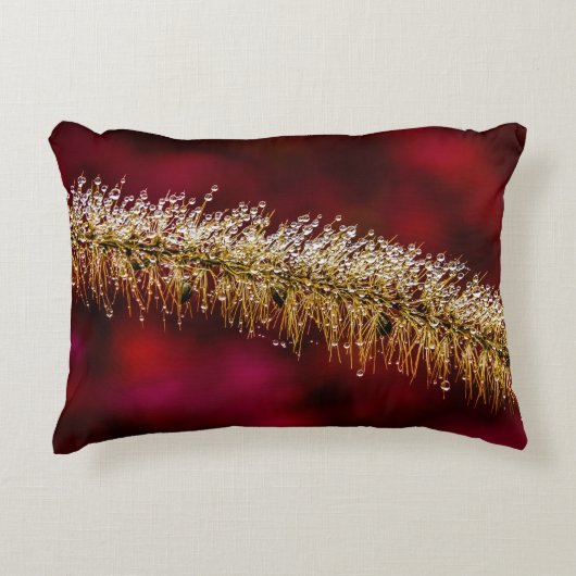 朝露 アクセントクッション (正面)