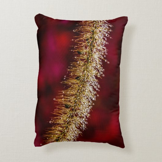 朝露 アクセントクッション (裏面(縦))