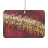 朝露 カーエアーフレッシュナー (裏面)