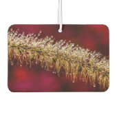 朝露 カーエアーフレッシュナー (正面)