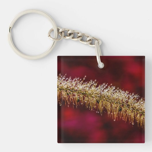 朝露 キーホルダー (正面)