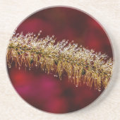 朝露 コースター (正面)