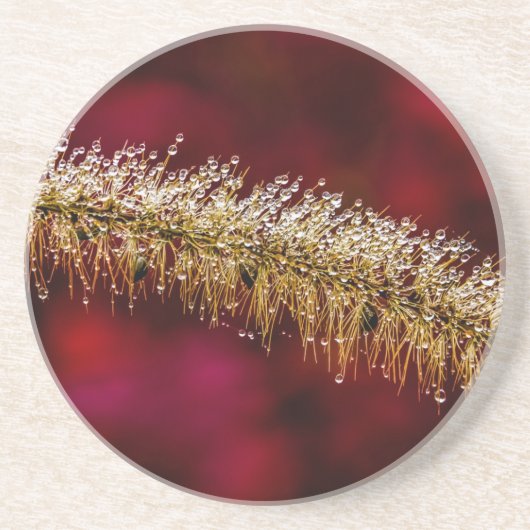 朝露 コースター (正面)