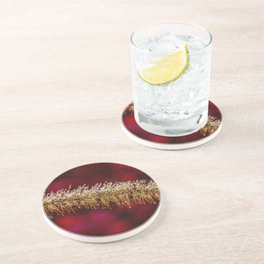 朝露 コースター (側面)