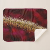 朝露 シェルパブランケット (正面(横))