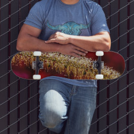 朝露 スケートボード