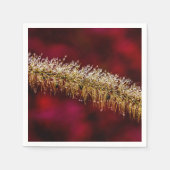 朝露 スタンダードカクテルナプキン (正面)