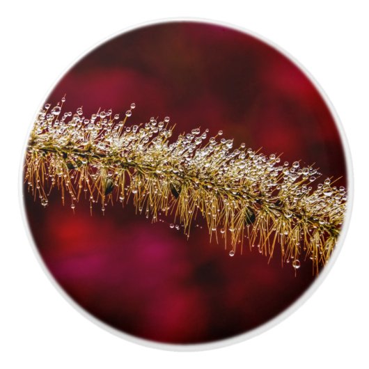 朝露 セラミックノブ (正面)