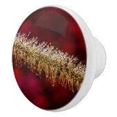 朝露 セラミックノブ (右)