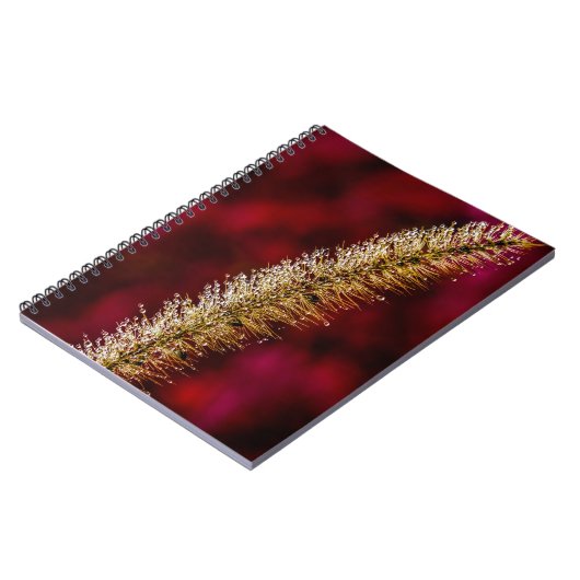 朝露 ノートブック (左側)