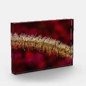 朝露 フォトブロック (左)