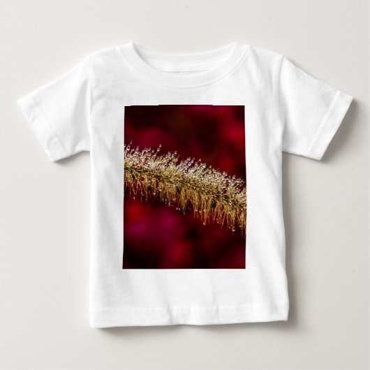 朝露 ベビーTシャツ (正面)