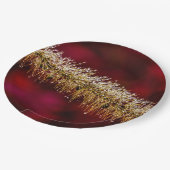 朝露 ペーパープレート (アングル)