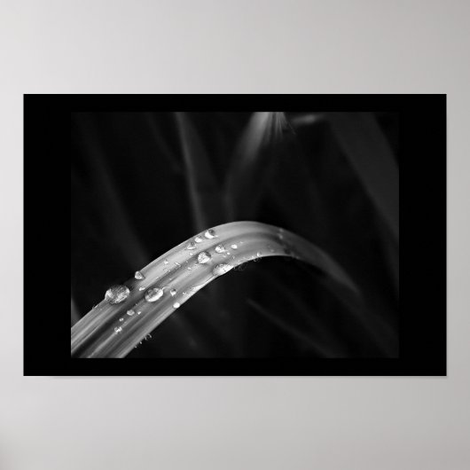 朝露 ポスター (正面)