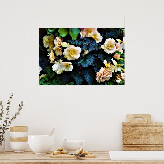 朝露 ポスター (キッチン)