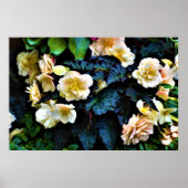 朝露 ポスター (正面)