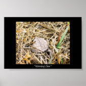 朝露 ポスター (正面)