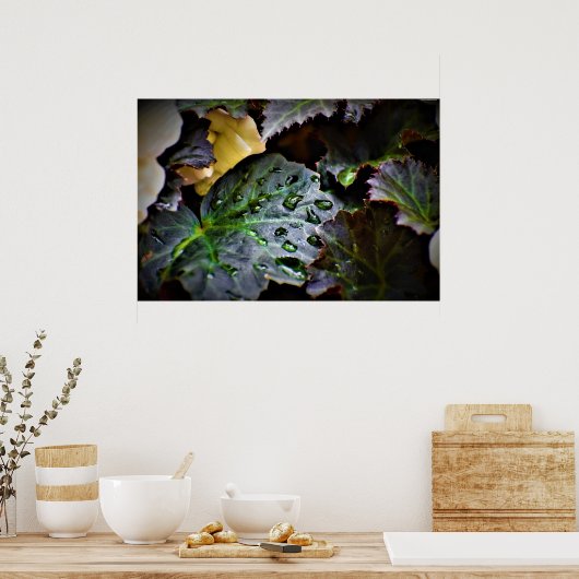 朝露 ポスター (キッチン)