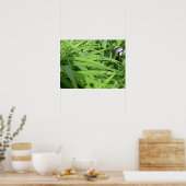 朝露 ポスター (キッチン)