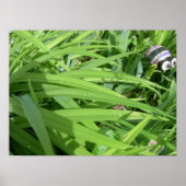 朝露 ポスター (正面)