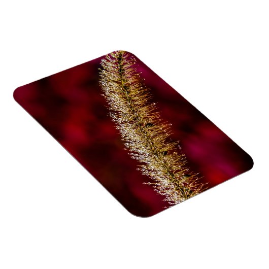 朝露 マグネット (右側)