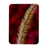 朝露 マグネット (縦)