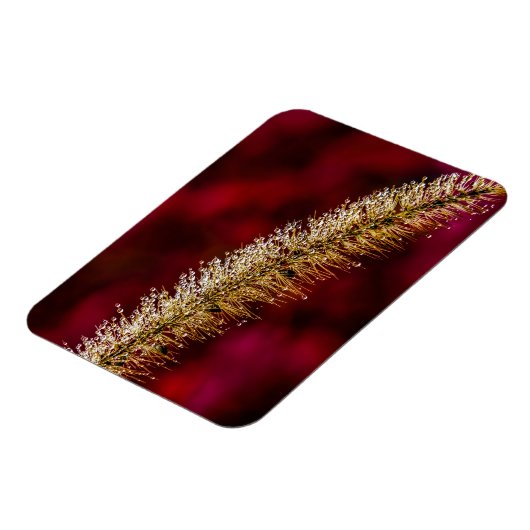 朝露 マグネット (左側)