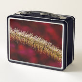 朝露 メタルランチボックス (裏面)