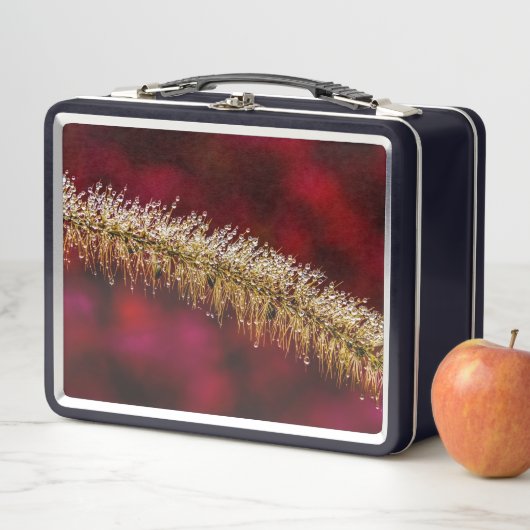 朝露 メタルランチボックス (インサイチュ)