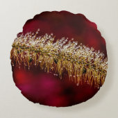 朝露 ラウンドクッション (正面)