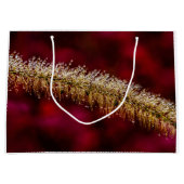 朝露 ラージペーパーバッグ (正面)