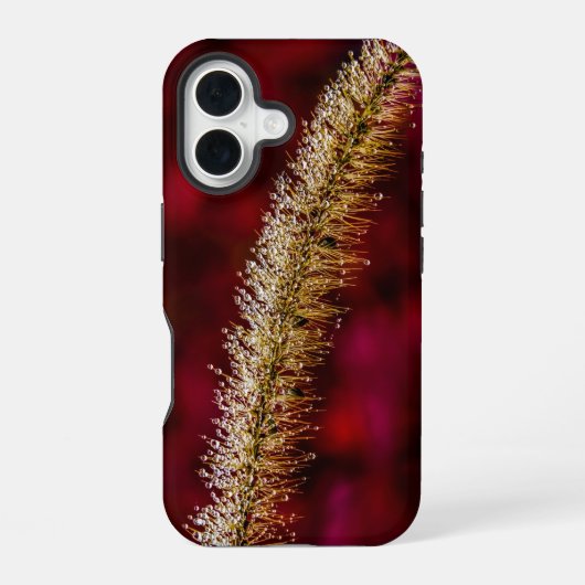 朝露 iPhone 16ケース (裏面)