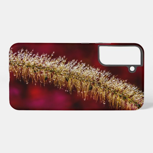 朝露 SAMSUNG GALAXYケース (裏面横)