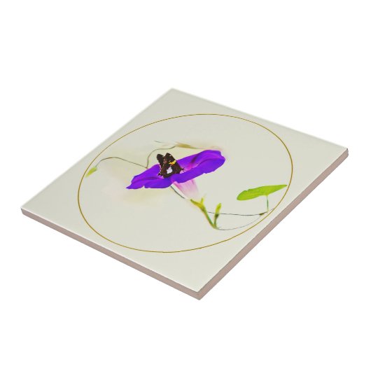 朝顔と蝶 タイル (側面)