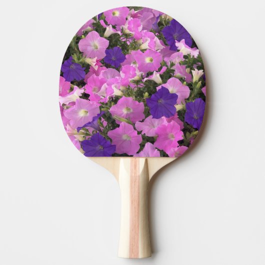 朝顔のピンクと紫の花の写真 卓球ラケット (正面)