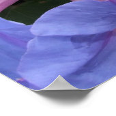 朝顔のポスター ポスター (角)