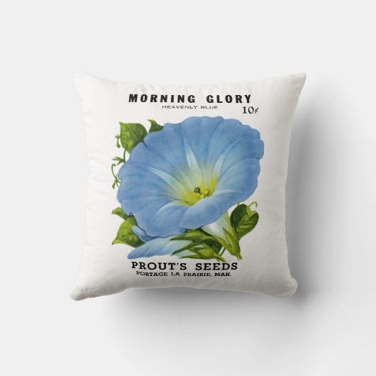 朝顔のヴィンテージの種の包み クッション (裏面)