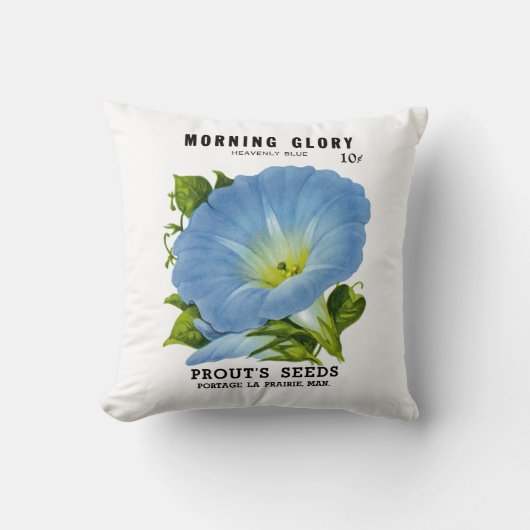 朝顔のヴィンテージの種の包み クッション (正面)
