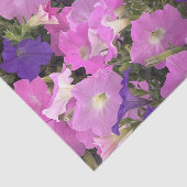 朝顔の写真ピンクと紫の花 薄葉紙 (詳細)