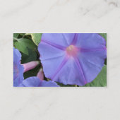 朝顔の名刺 名刺 (裏面)