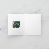 朝顔の夏の開花の空白のな挨拶状 カード (内部)