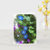 朝顔の夏の開花の空白のな挨拶状 カード (黄色い花)