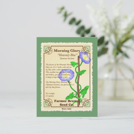 朝顔の種のパケット ポストカード (スタンド正面)