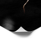 朝顔の花が黒で切り離されている ポスター (コーナー)