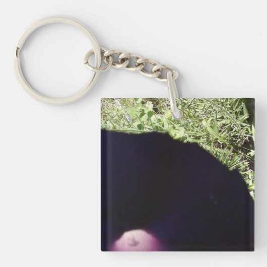 朝顔の花のキーホルダー キーホルダー (正面)