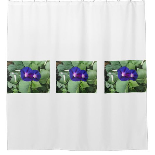 朝顔の花のシャワー・カーテン シャワーカーテン (正面)