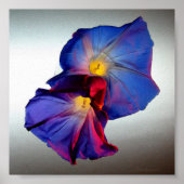 朝顔の花3 ポスター (正面)