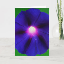 朝顔の花 カード
